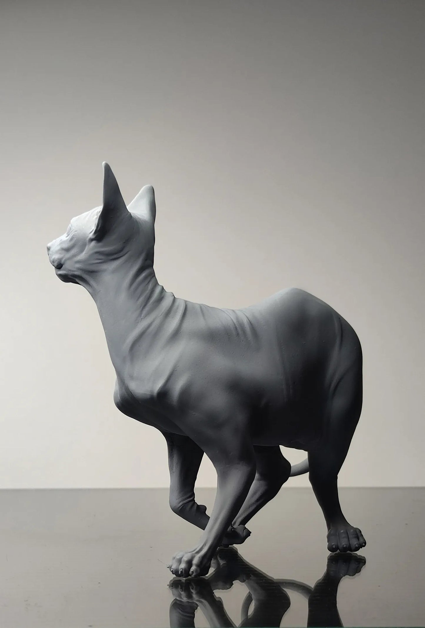 Sphynx Cat - white ready to paint