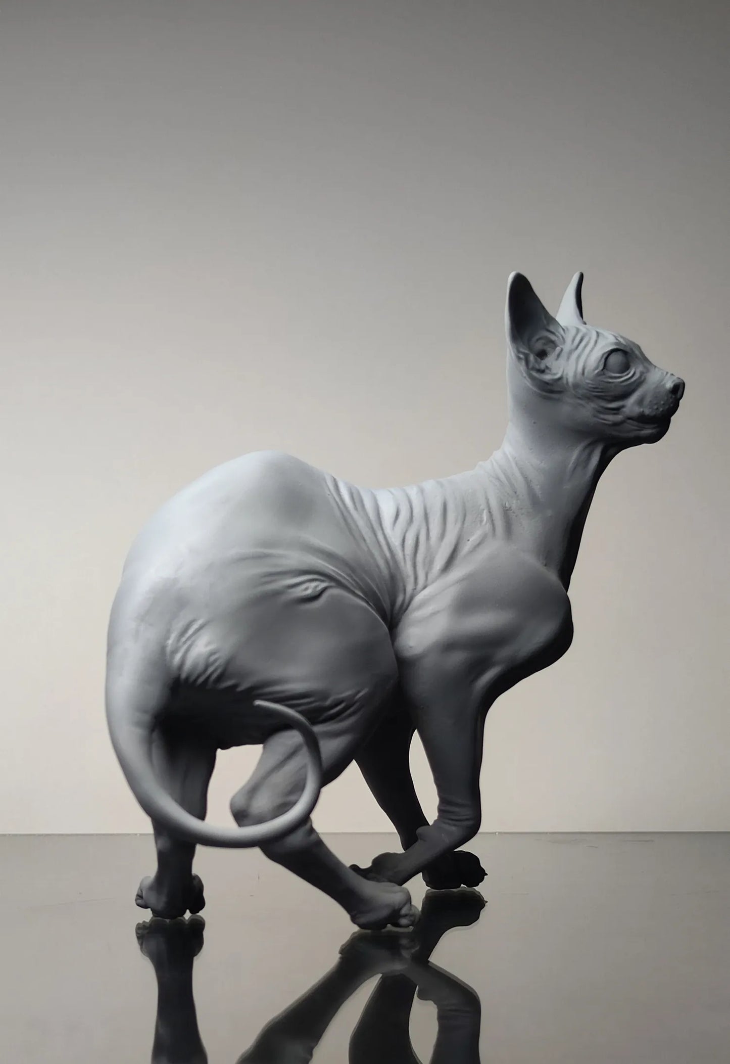 Sphynx Cat - white ready to paint