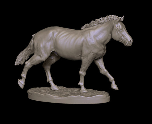 Prehistoric type pony 1/6 scale - White resin ready to prep / paint  LTD EDITION - Pre - Order