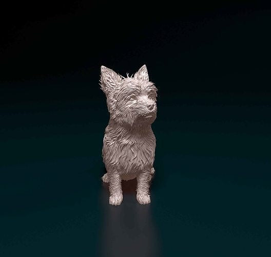 Yorkie - white ready to paint