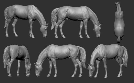 Grazing stallion - White resin ready to prep / paint  LTD EDITION - Pre - Order