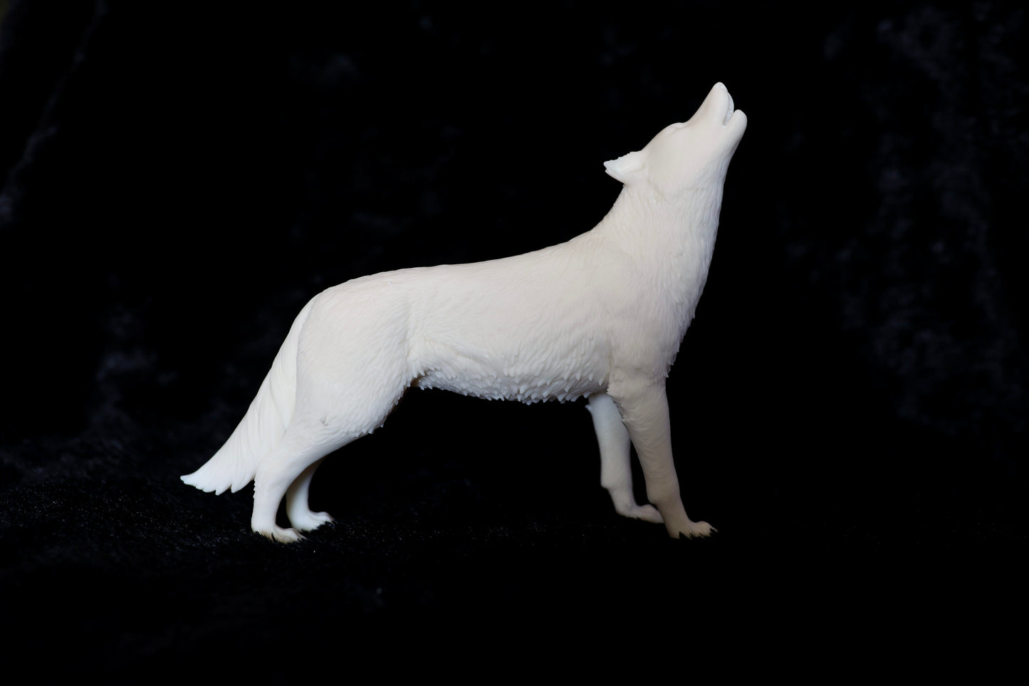 Howling Wolf - White ready to paint