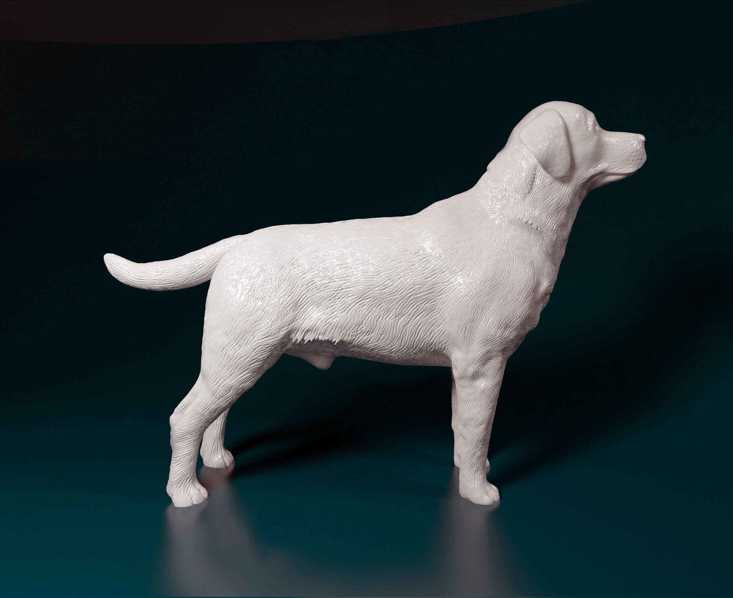 Labrador resin -  white ready to paint