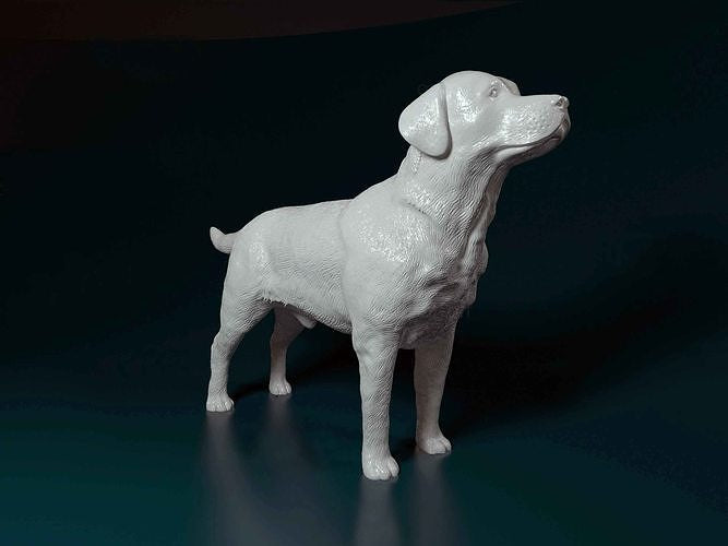 Labrador resin -  white ready to paint