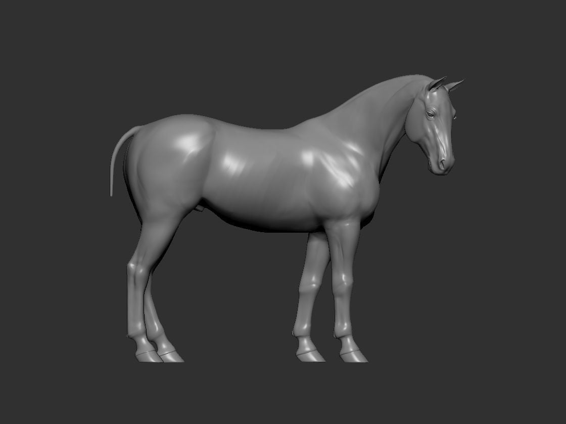 Choose your own pose resin horse - white ready to hair and paint
