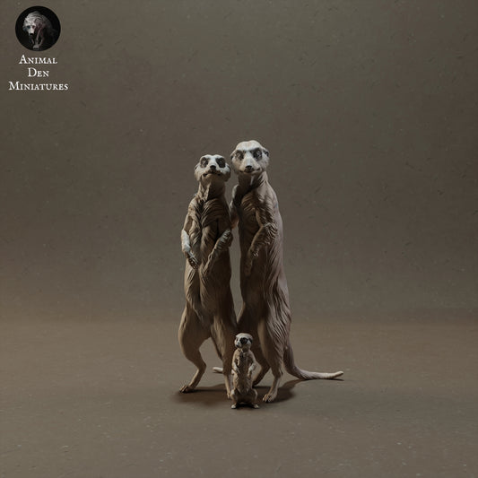 Meerkat family - white ready to paint