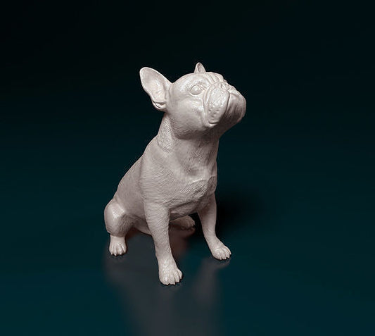 French bulldog - white ready to paint