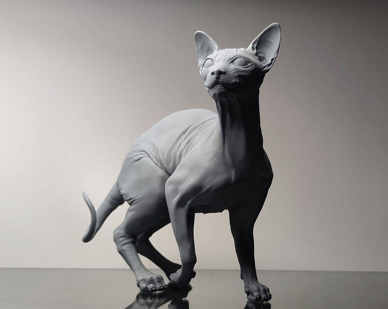 Sphynx Cat - white ready to paint