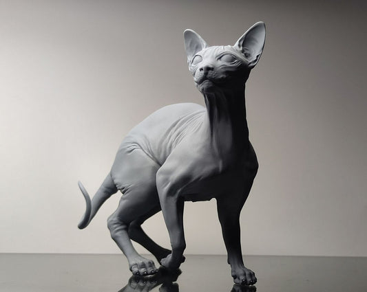 Sphynx Cat - white ready to paint
