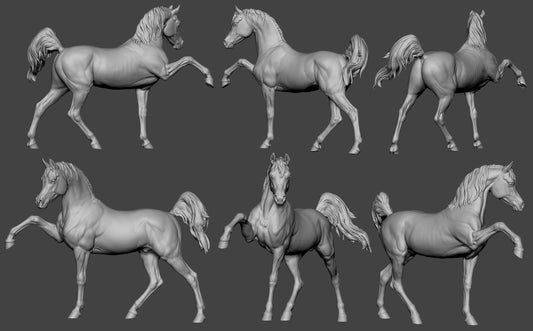 Sassy Arabian stallion Firefly - White resin ready to prep / paint  LTD EDITION - Pre - Order