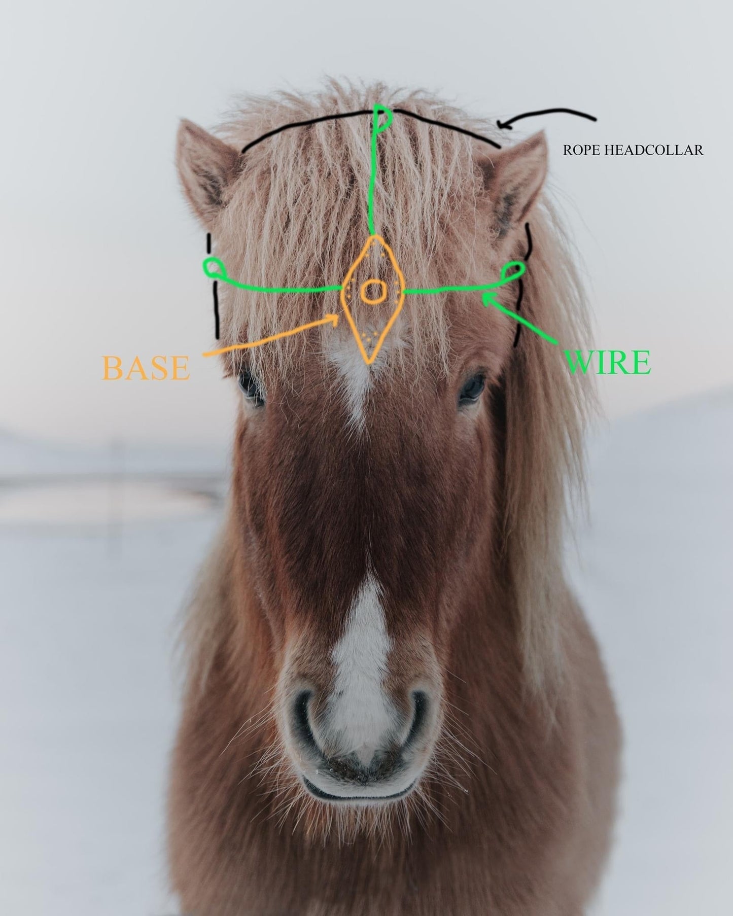Unicorn horn for real horse / Pony Pearly white