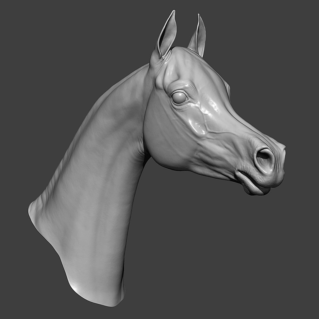 Arabian horse head for customs - White resin ready to prep / paint
