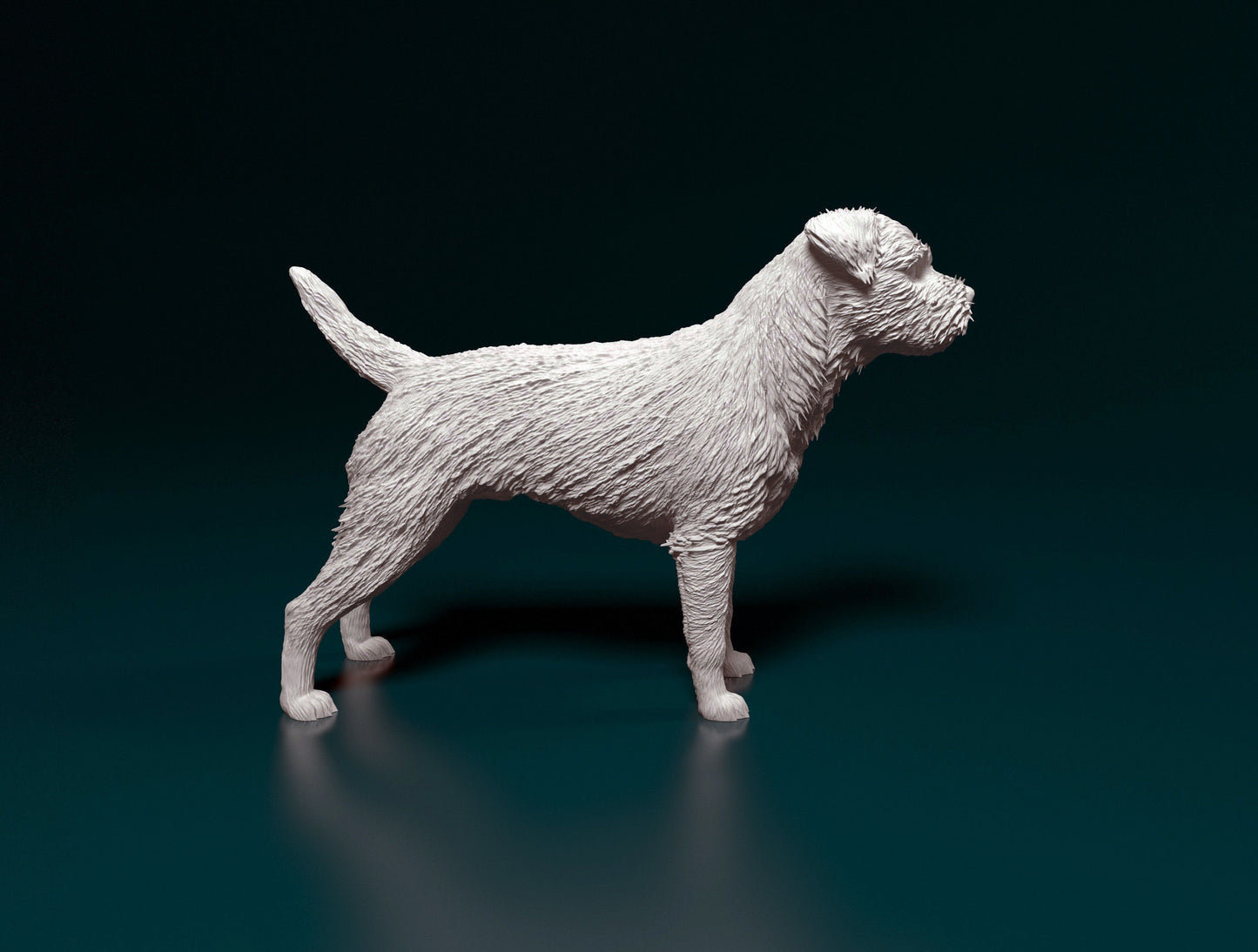 Border terrier - white ready to paint