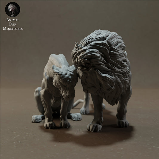 Cuddling lion set - white ready to paint