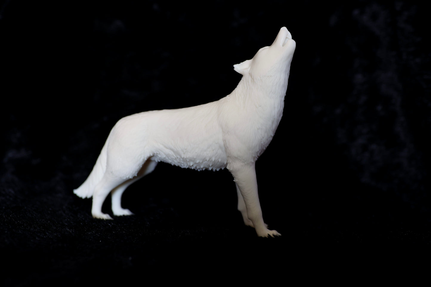 Howling Wolf - White ready to paint