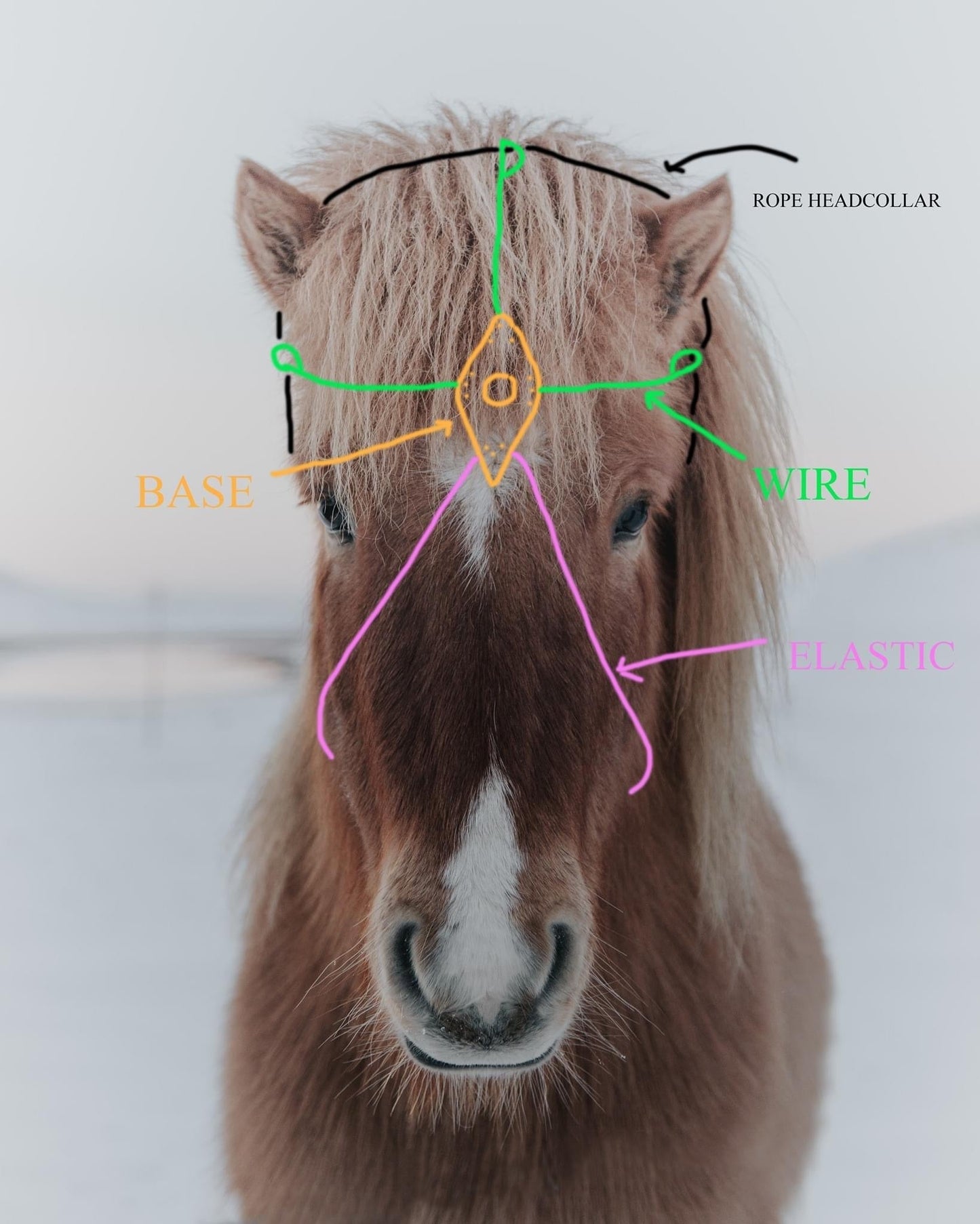 Unicorn horn for real horse / Pony Pearly white