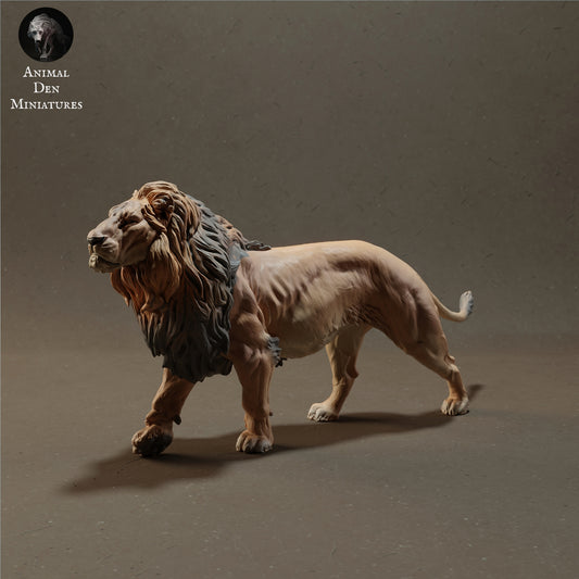 Male lion - white ready to paint