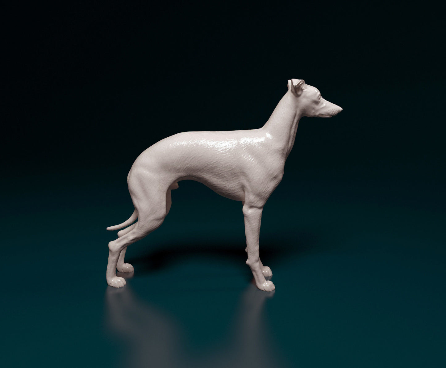 Italian greyhound- white ready to paint
