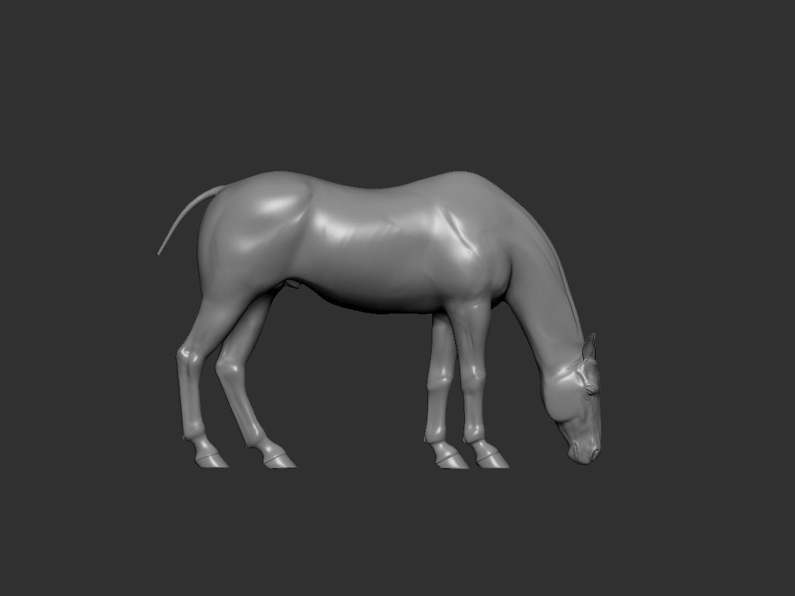 Choose your own pose resin horse - white ready to hair and paint