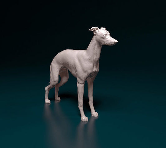 Italian greyhound- white ready to paint