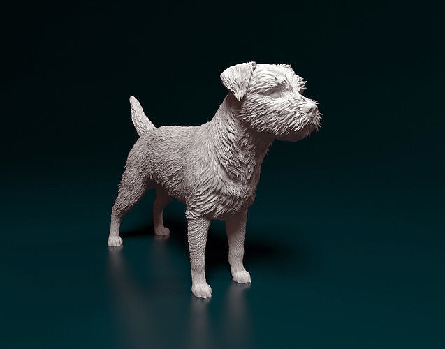 Border terrier - white ready to paint
