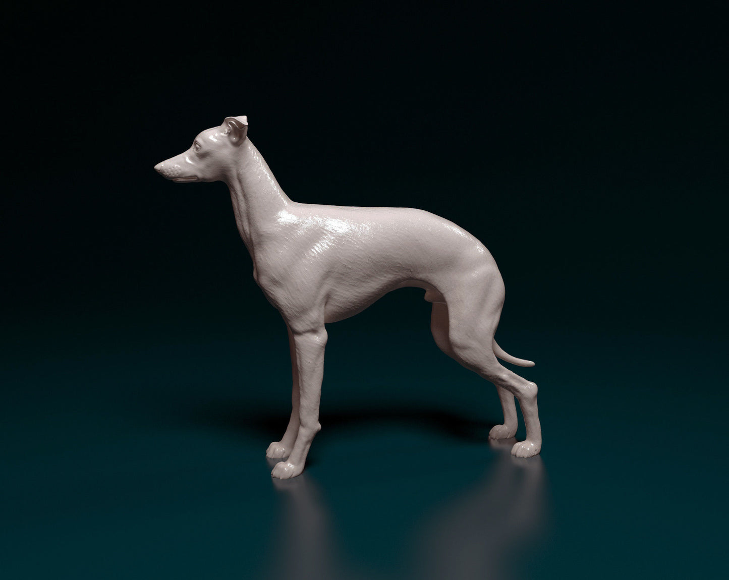 Italian Greyhound - white ready to paint