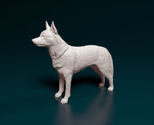 Kelpie - white ready to paint
