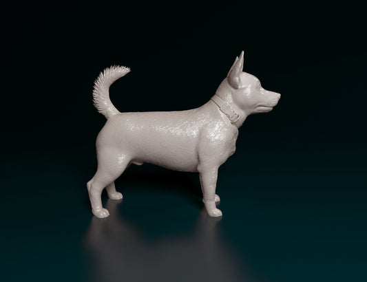 Lancashire heeler - white ready to paint