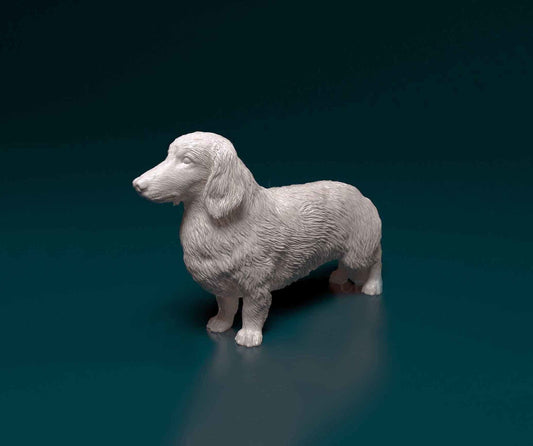 Long hair dachshund - white ready to paint