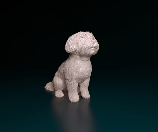 Maltese - white ready to paint