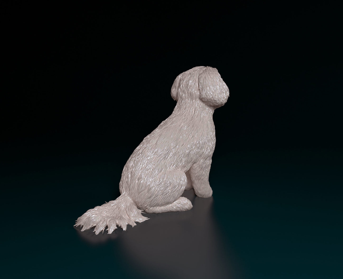 Maltese - white ready to paint