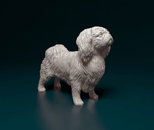 Pekingese - white ready to paint