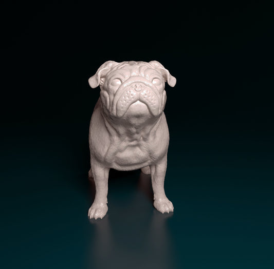 Pug - white ready to paint