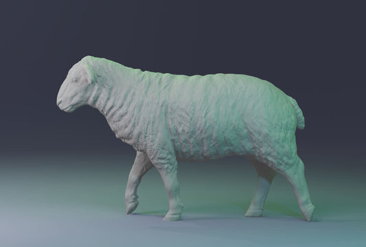 Pair of sheep - White resin ready to prep / paint  LTD EDITION - Pre - Order