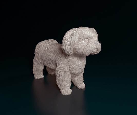 Shih Tzu - white ready to paint