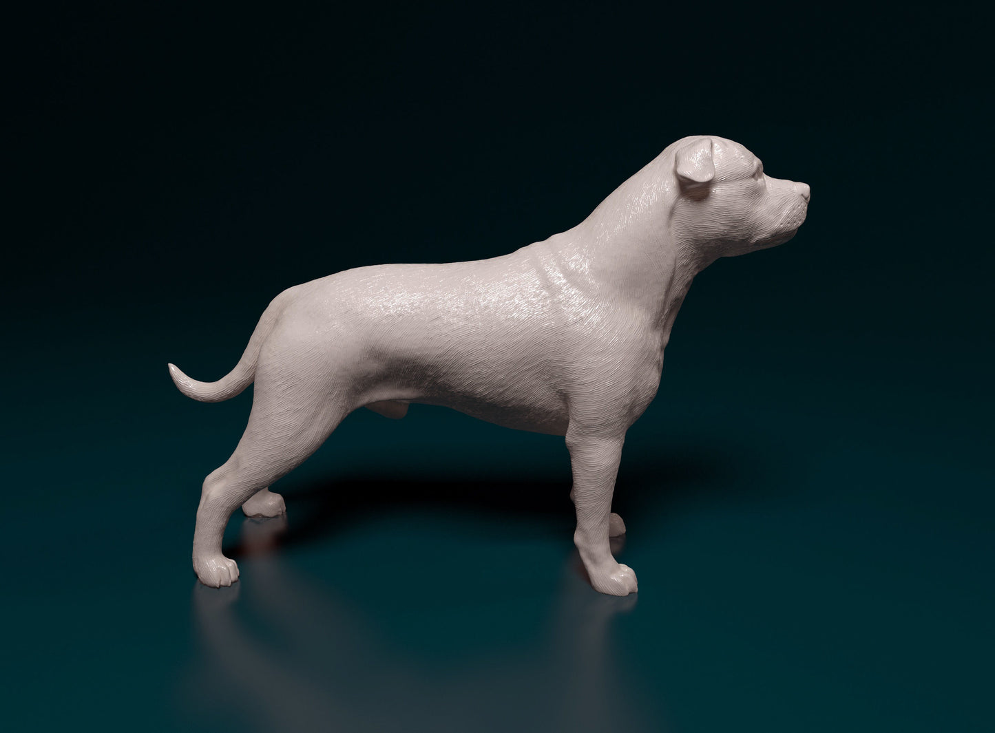 Staffordshire Bull Terrier - white ready to paint