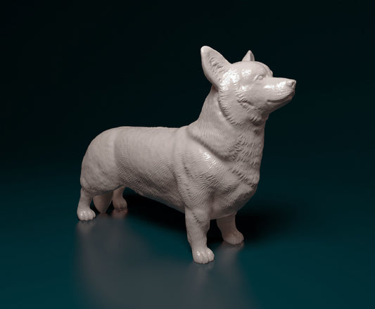 Pembroke welsh corgi - white ready to paint