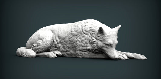 resting wolf - white ready to paint
